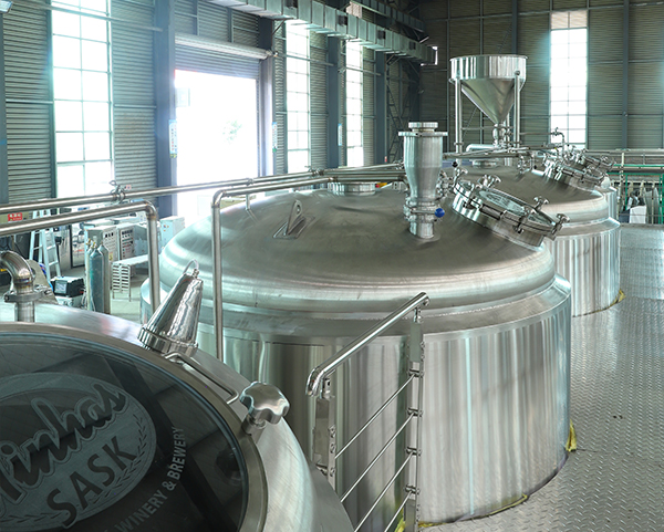 精酿啤酒设备厂家来解析一下啤酒花的必要性