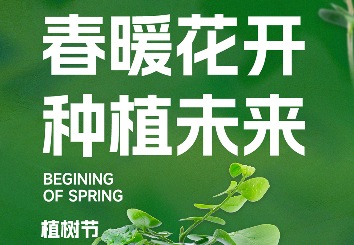 春光三月 植此青绿 | 筑润集团开展植树节活动